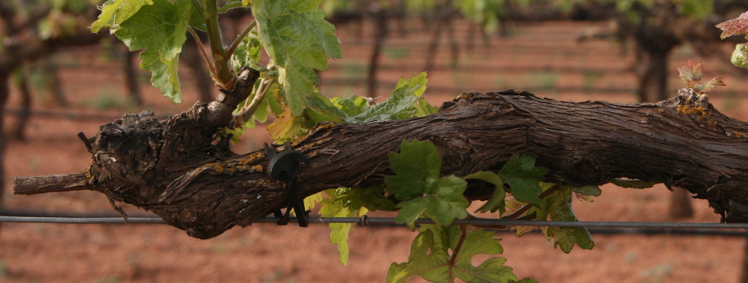 el-suelo_finca_el_refugio